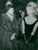 - Vintage Photograph