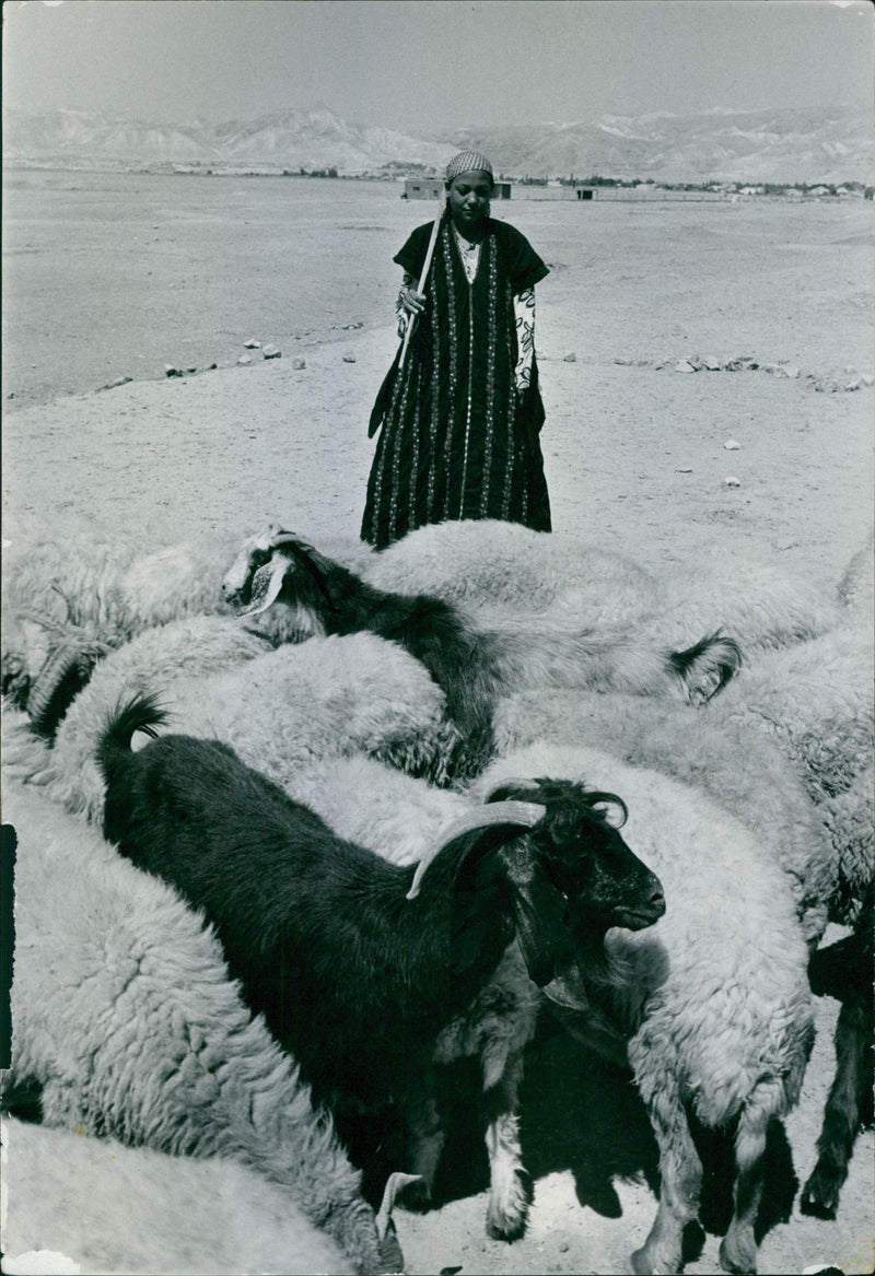- Vintage Photograph