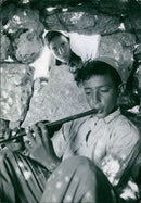 - Vintage Photograph