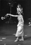 - Vintage Photograph