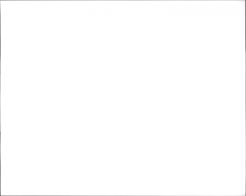 - Vintage Photograph