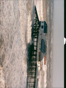 - Vintage Photograph