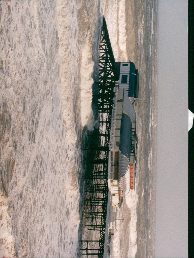 - Vintage Photograph