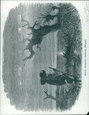 - Vintage Photograph