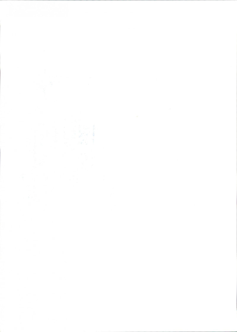 - Vintage Photograph