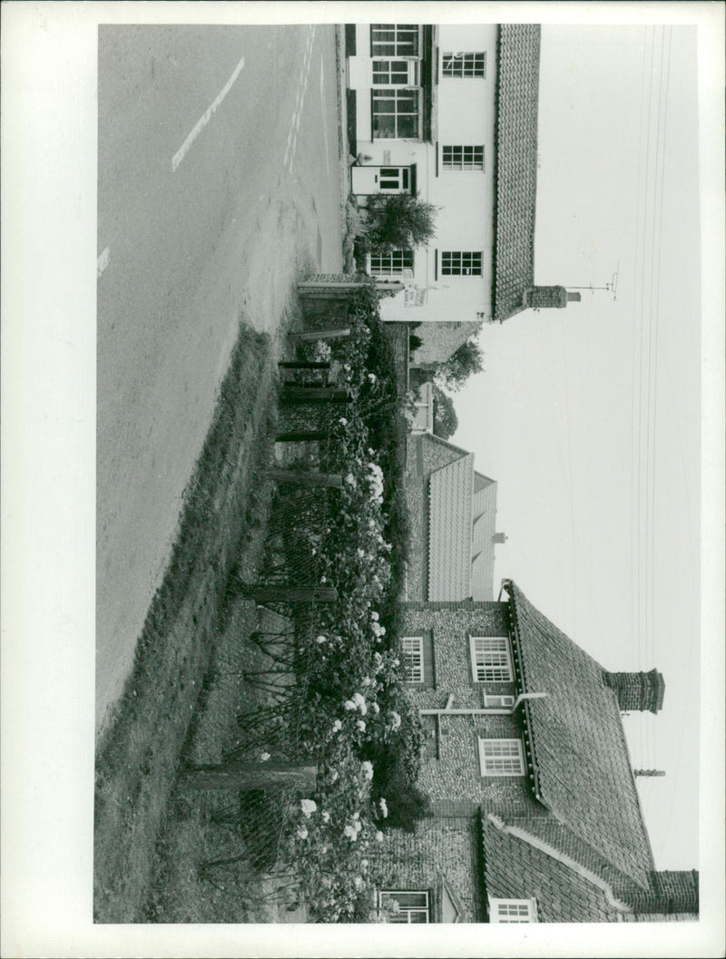 - Vintage Photograph