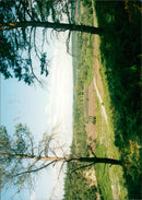 - Vintage Photograph