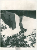 - Vintage Photograph