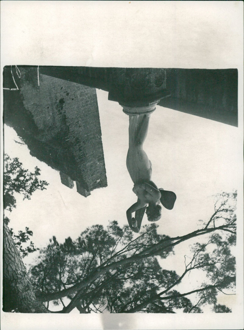 - Vintage Photograph