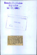 - Vintage Photograph