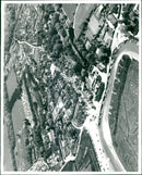 - Vintage Photograph