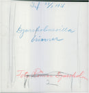 - Vintage Photograph