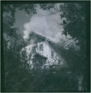 - Vintage Photograph