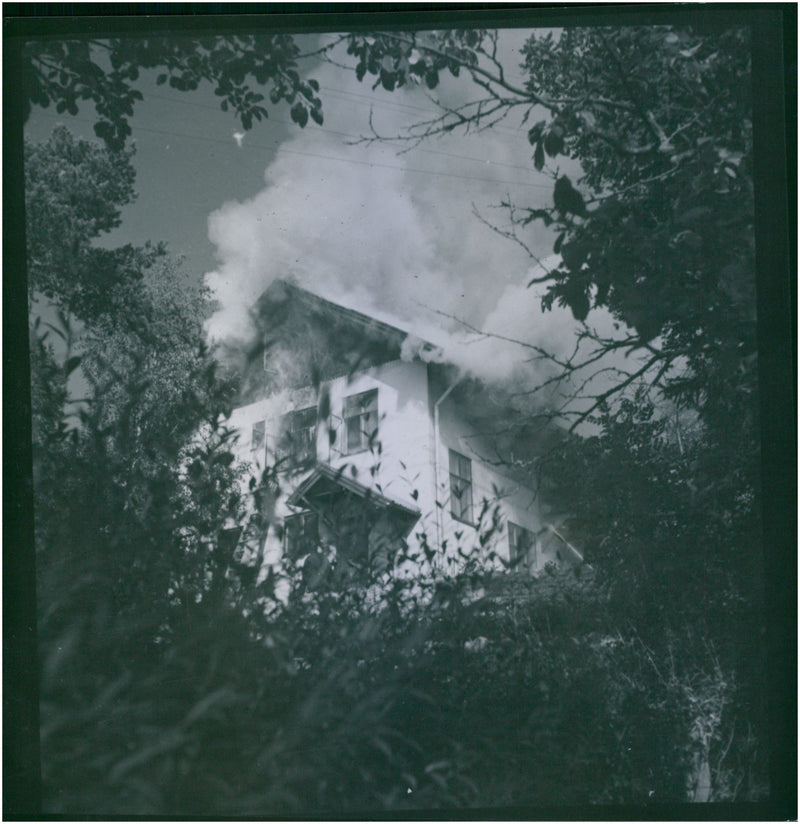 - Vintage Photograph