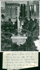 - Vintage Photograph