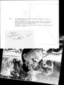 - Vintage Photograph