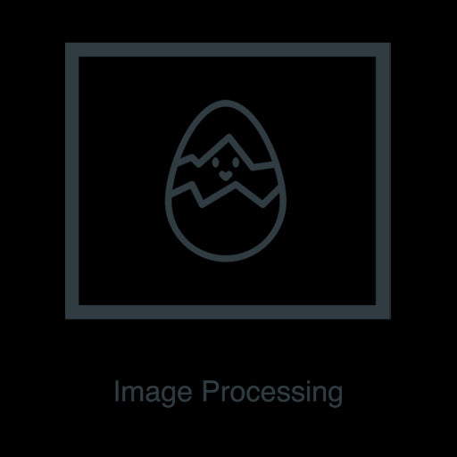 - Vintage Photograph