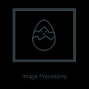 - Vintage Photograph