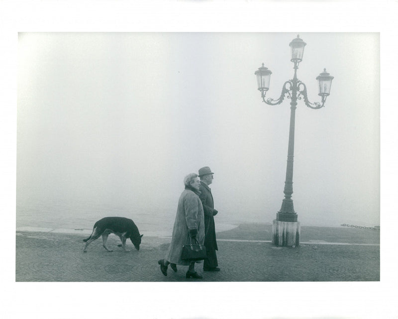 - Vintage Photograph