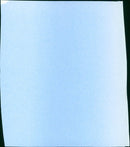 Film: Captain Blood - Vintage Photograph