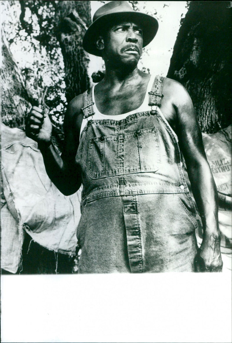 FILM: High Lonesome - Vintage Photograph