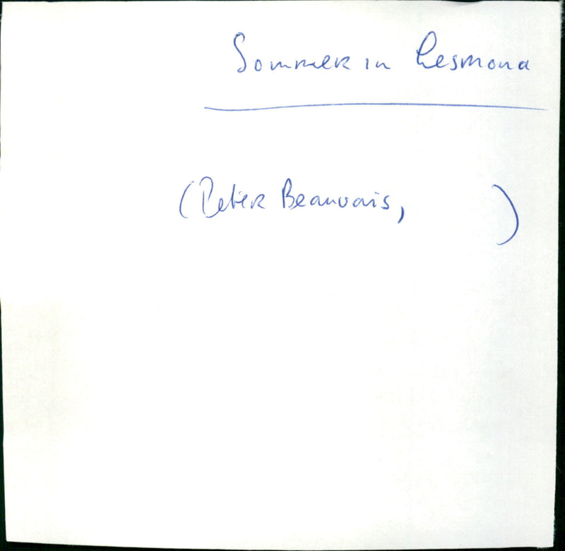 Sommer in Lesmona - Vintage Photograph