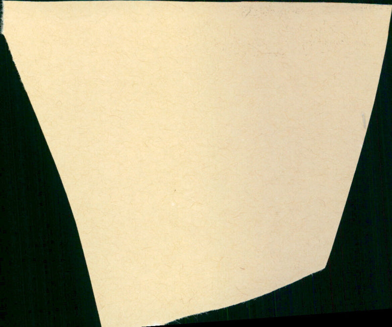FILM: Shoot the Moon - Vintage Photograph