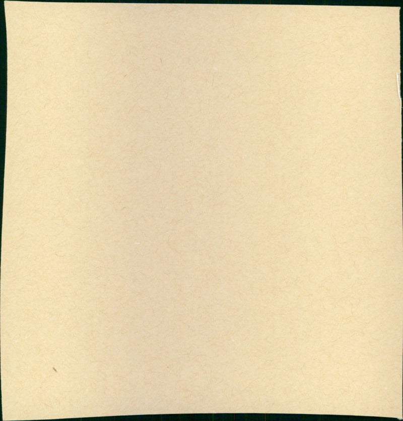 FILM: Caught - Vintage Photograph
