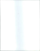 FILM: Cocoon - Vintage Photograph