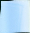 Busting - Vintage Photograph