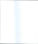 The Bonfire of the Vanities - Vintage Photograph