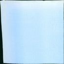 FILM: The Women of Brewster Place - Vintage Photograph