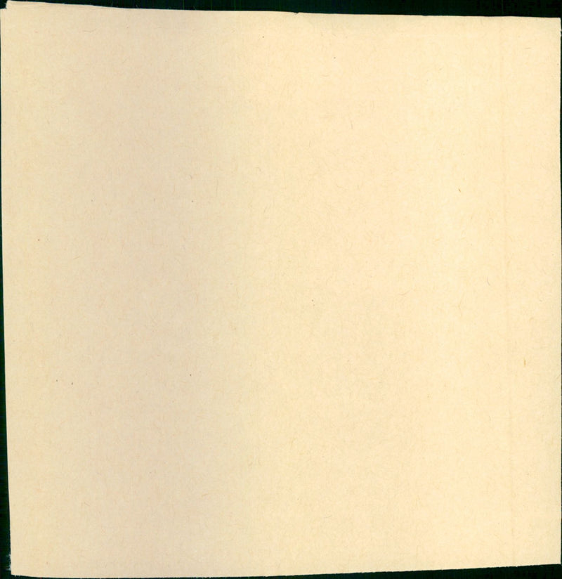 - Vintage Photograph