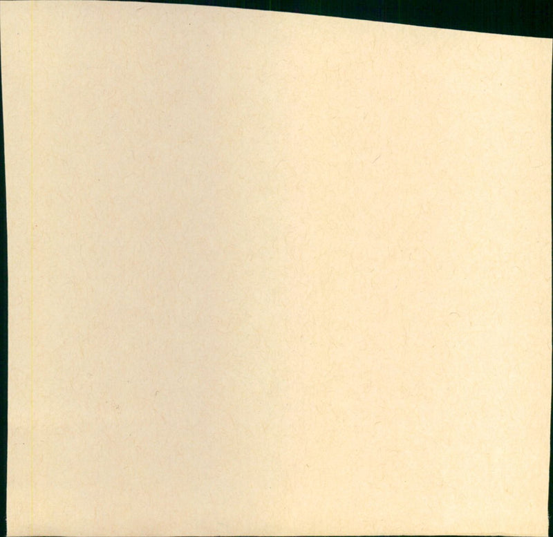 - Vintage Photograph