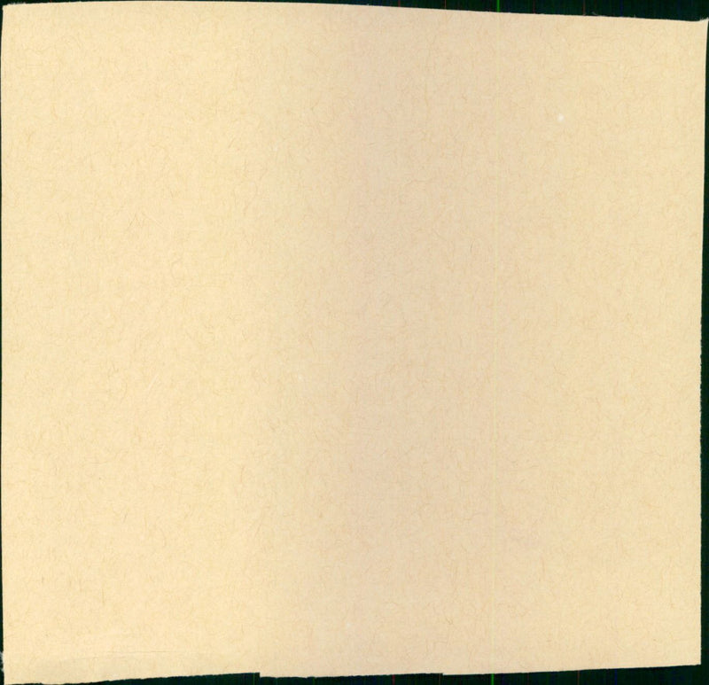 Hochzeit auf Immenhof - Vintage Photograph