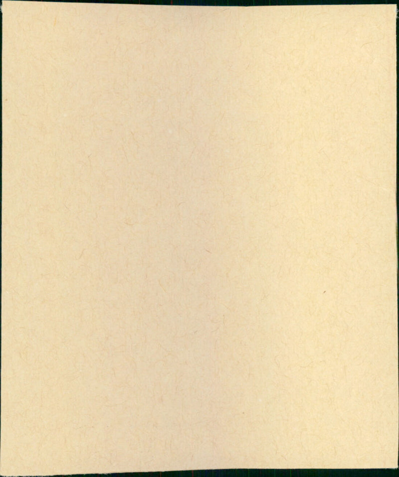 Hocus Pocus - Vintage Photograph