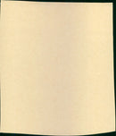 A Fever in the Blood - Vintage Photograph