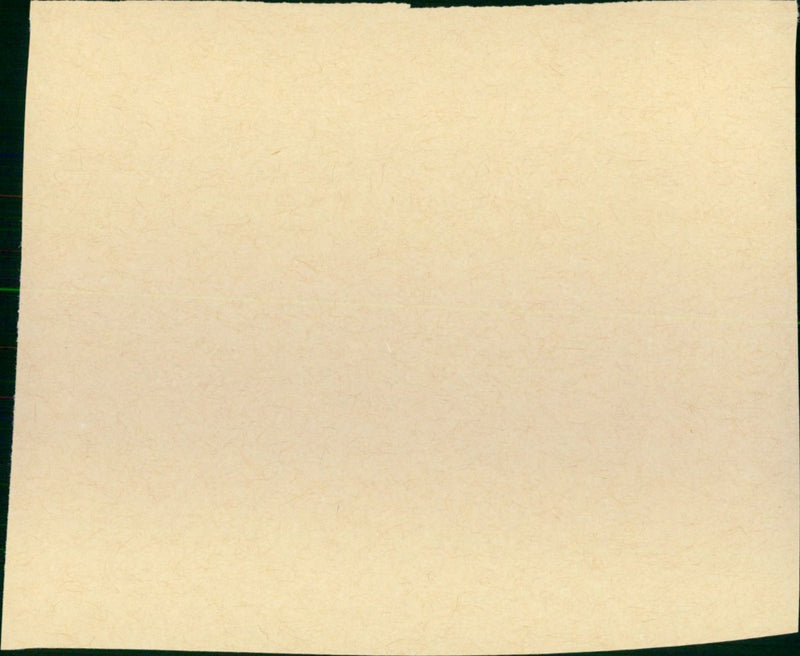 The Heart Is a Lonely Hunter - Vintage Photograph