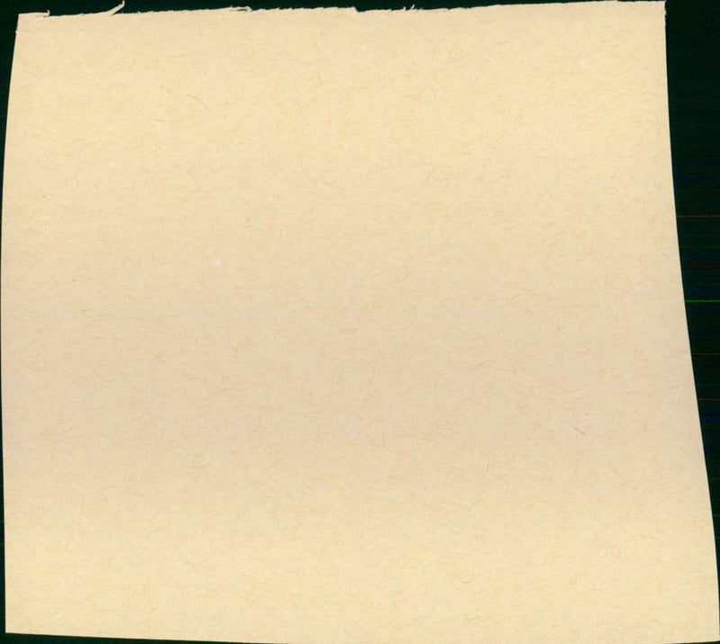 Heart & Souls - Vintage Photograph