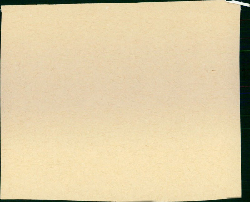 Heat and Dust - Vintage Photograph