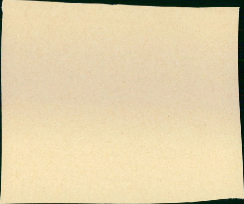 Heatwave - Vintage Photograph