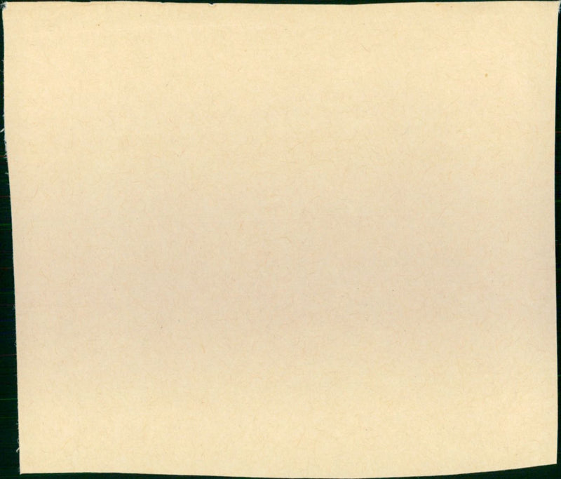 Heaven Can Wait - Vintage Photograph