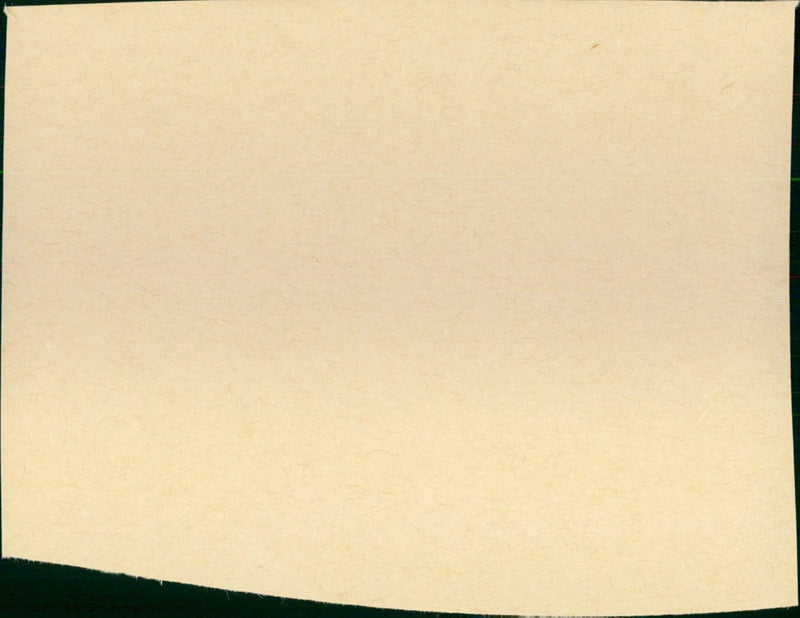 The Hand That Rocks the Cradle - Vintage Photograph