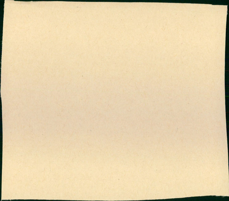 A Handful of Dust - Vintage Photograph