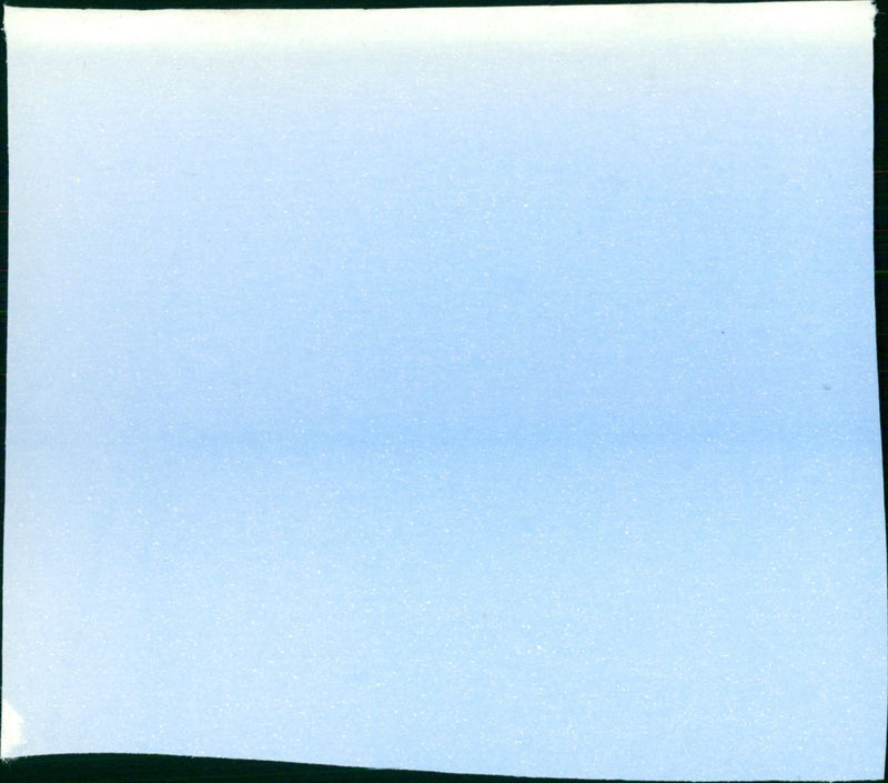 The Handmaid's Tale - Vintage Photograph