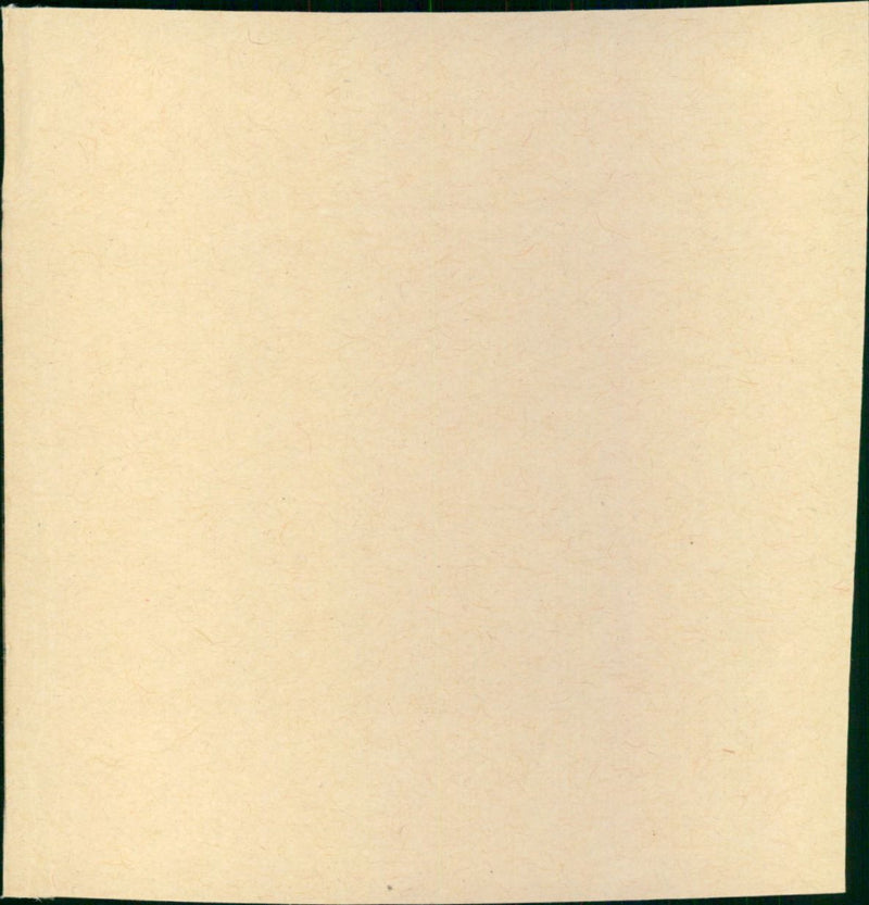 Bolero - Vintage Photograph