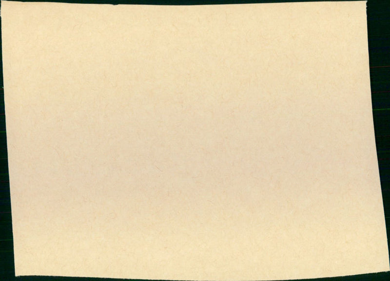 Hang 'Em High - Vintage Photograph