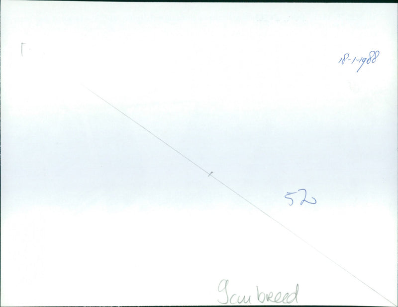 Gene Wilder and Gilda Radner - Hanky Panky - Vintage Photograph