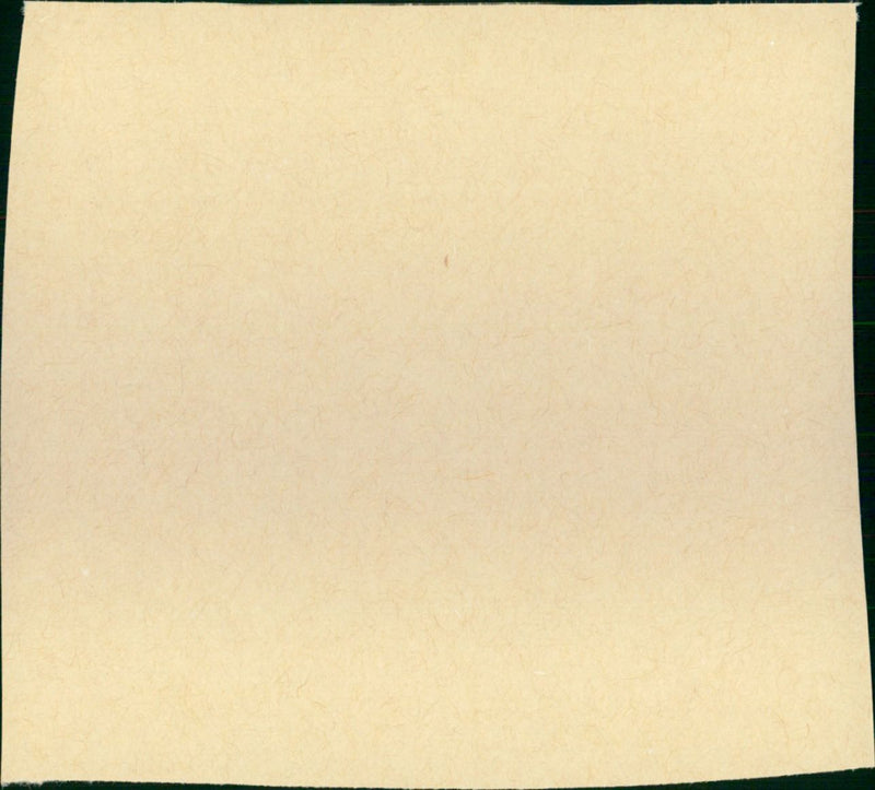 Hanky Panky - Vintage Photograph