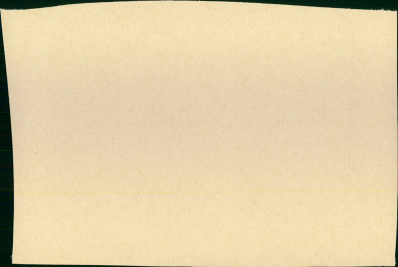 Happy-End am Wörthersee - Vintage Photograph